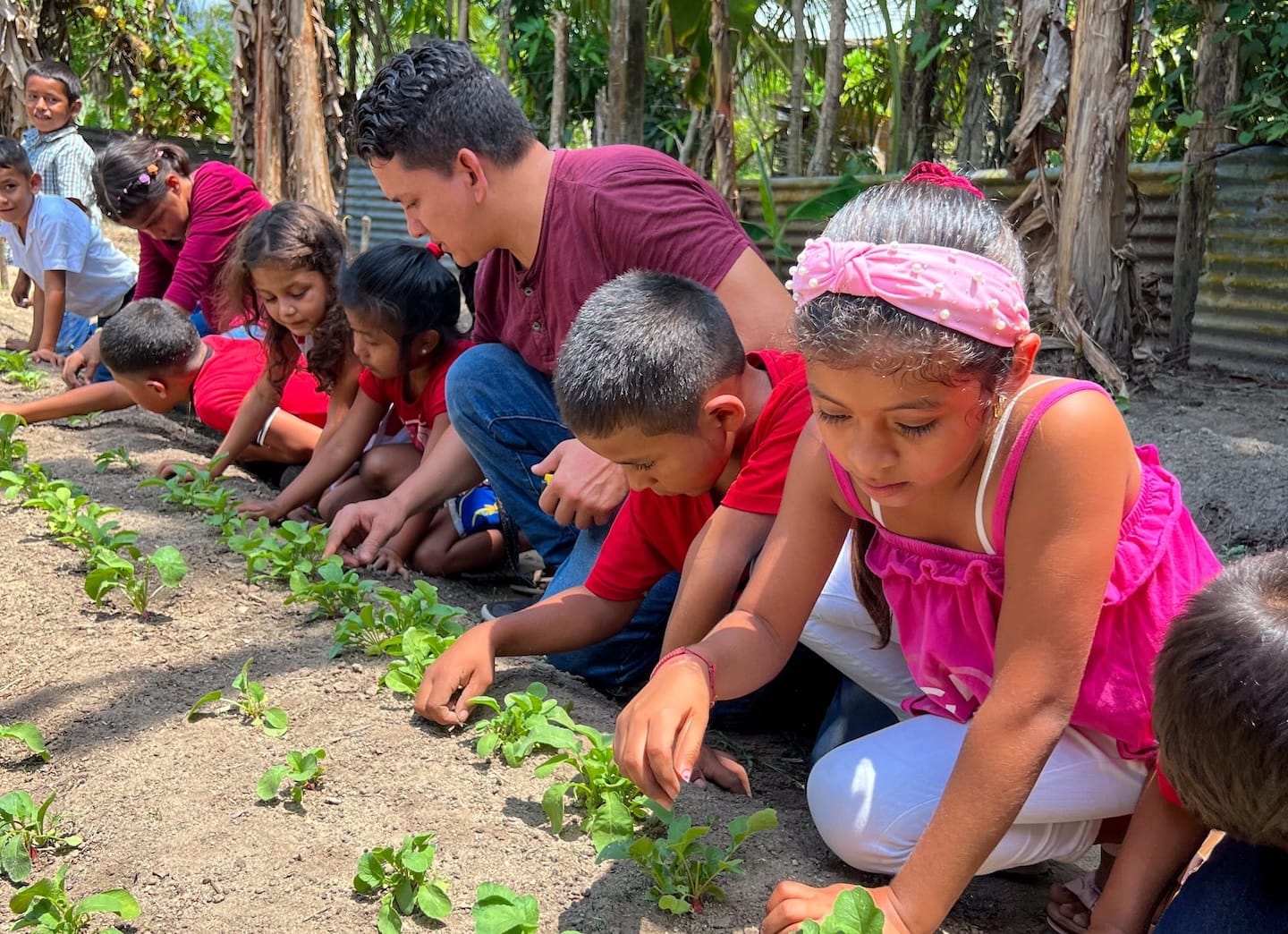 A group of children tending to a garden outdoors.