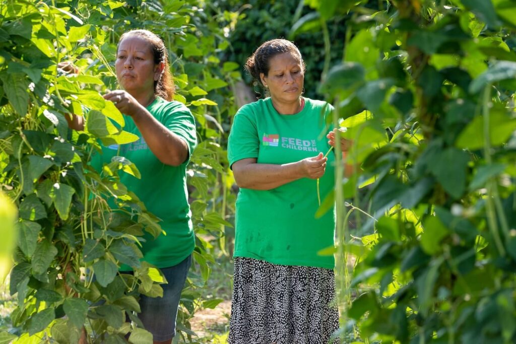 Two women tending a garden outdoors.
