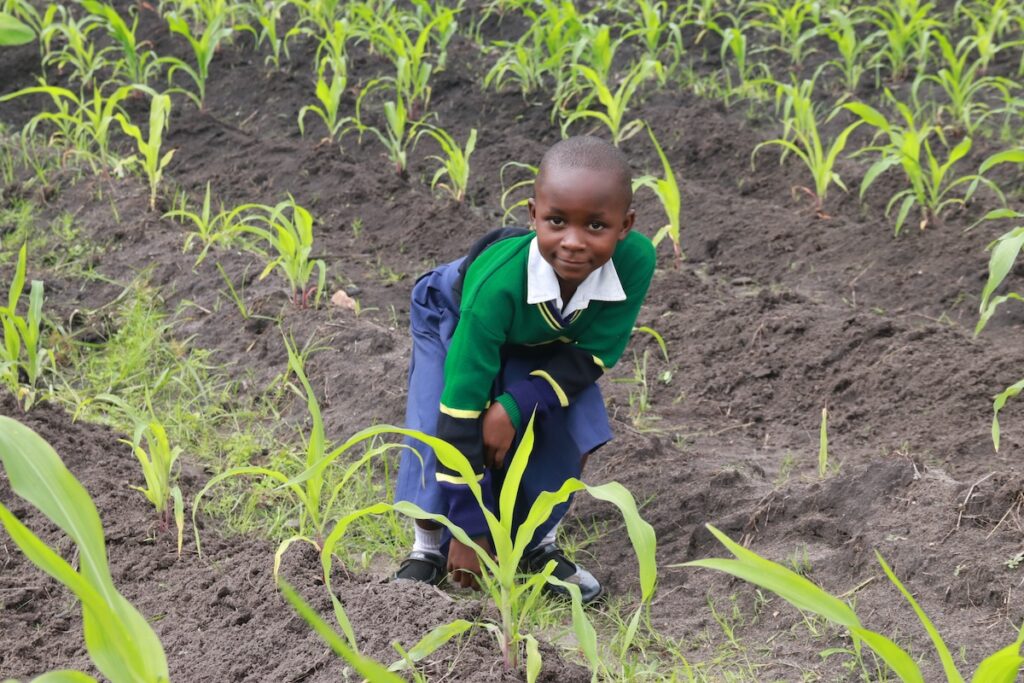 A boy in a garden area in Tanzania looking at the camera.