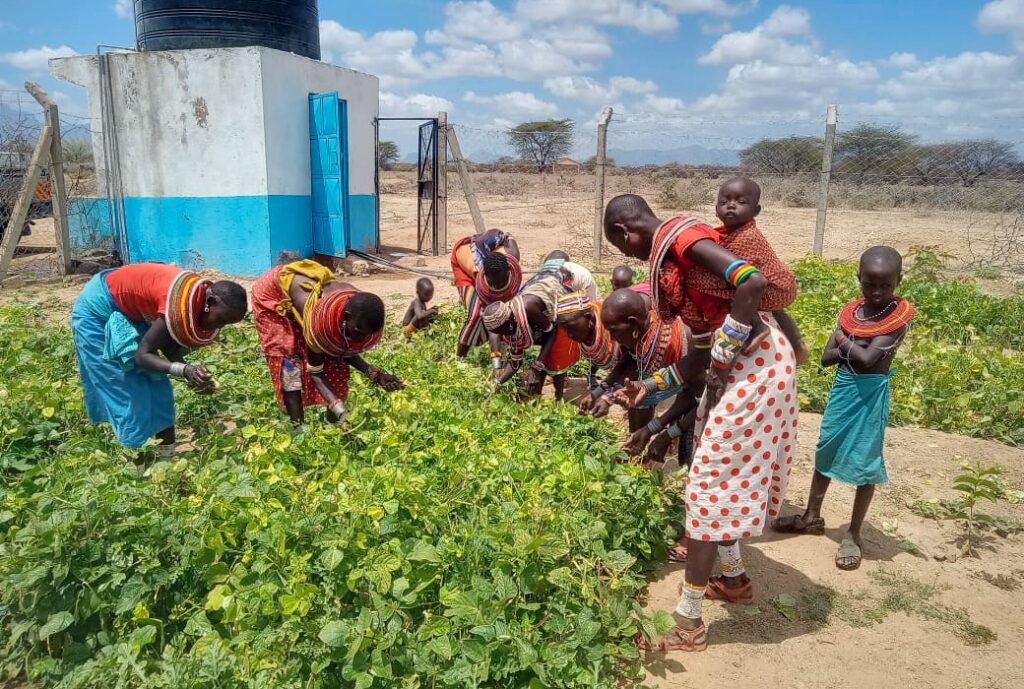 A group of moms holding children and harvesting from a garden.